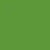 Evergreen OP254