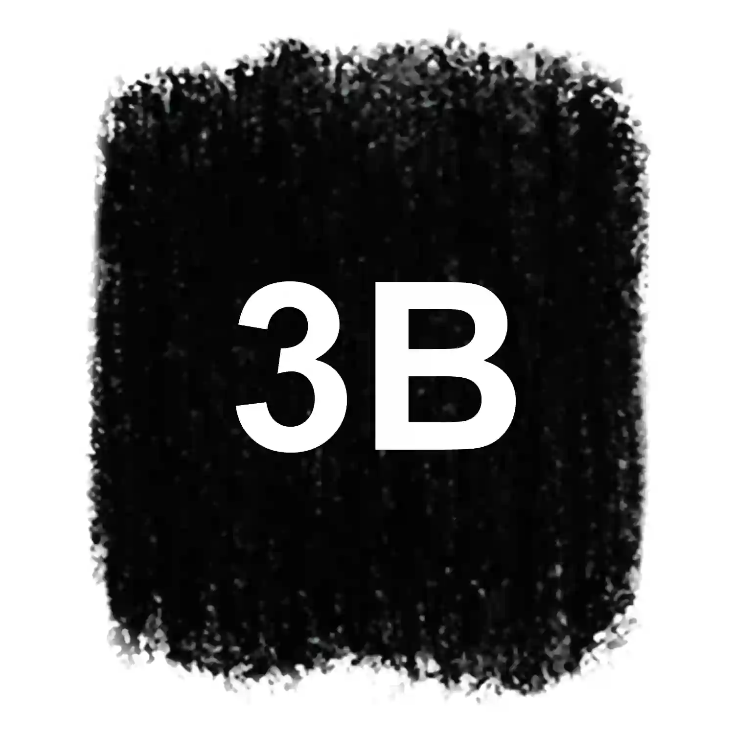 Charcoal 3B