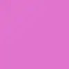 Fuchsia OP436